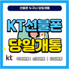 엔텔레콤 선불폰 유심 개통(KT.LG) 공기계 한국 선불유심 USIM, 1개, KT 선불유심, 9999일