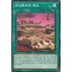 유희왕 한글판 크샤트리라 버스 노멀 DABL-KR060, 1개