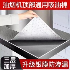 廚房抽油煙機頂部防油墊 兩片裝 吸油棉 防滲透, 1個, 通用款 吸油不滲油 自由裁剪, 2包13片送1片 免清洗 防滲透