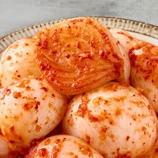 국내산 전라도식 양파김치, 1개, 2kg