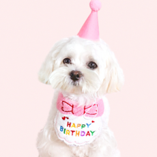 강아지 생일 케이프 고양이 리본케이프, 블루, 2개