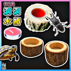 Fun Feng 昆蟲原木樹洞 大號 (直徑5-8cm/高4cm/孔徑4cm) 昆蟲用品 寵物用品, 【小號】直徑5-8cm/高度2.5c, 1個