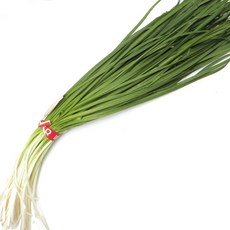 당일새벽경매 국내산 특A급 호부추 중국부추 1단 400g 내외, 수입 호부추 1단 400g 내외, 1개