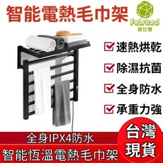 Felsted 菲仕德 智能恆溫電熱毛巾架 全身IPX4防水, 1個, 右出線