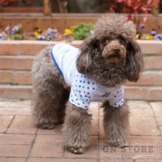 [ON디자인] 칼라 케이지 S 강아지켄넬, 블루