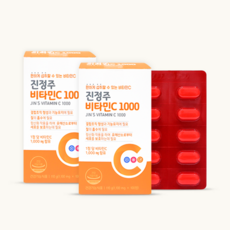진정주 비타C1000 1100mg, 100정, 4개