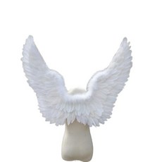 천사날개 코스프레 촬영 코스튬 날개 파티 생일 용품, 1개, 14가지 맞춤 가능 메시지 남기기