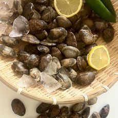 윤수산 국내산 바지락 남해안 해감, 1박스, 3kg