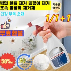 1/1+1벽면 얼룩 제거 곰팡이 제거 초속 곰팡이 제거제이녹소 초강력 뿌리는 곰팡이제거제욕실 화장실 곰팡이제다기능 곰팡이 제거 스프레이 곰팡이 제거젤, 1병