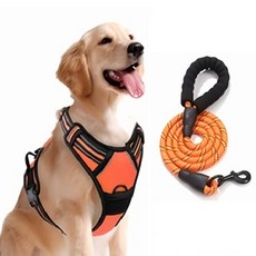 위드몽 중형견 대형견 하네스 리드줄 세트, 1세트, 오렌지