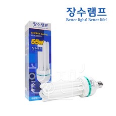 블루밍 EL 삼파장전구 55W E26, 주광색, 1개