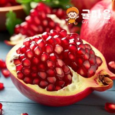 수입산 빨간 석류 3과 개당 330g 내외, 단품, 단품