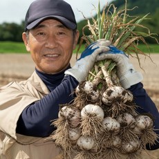 26년 국내산 햇마늘 알싸한 남도마늘, 1박스, 1kg (대,특대 혼합)