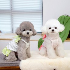 리본달린 중형견원피스, 수박 XL