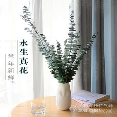 永生花尤加利葉客廳裝飾現代簡約北歐風格小清新真花幹花插花擺件, 綠色,幹樹枝