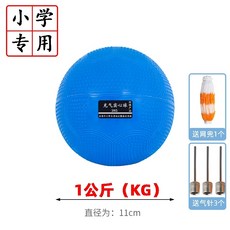 투포환 포환 공 던지기 훈련 체대 입시 실기 1KG 2KG, 파란색1kg공기공급바늘+그물가방