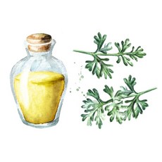 草本艾草低溫慢淬油 艾草安心油, 1個, 30ml裝