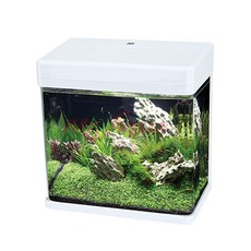 P老闆水族 JAD-220 小魚缸套缸 上部過濾 ㄇ型LED 含燈含馬達, 1個, MS-220尊榮黑最新款-含燈含馬達