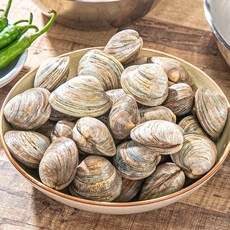 제철밥상 부드럽고 쫄깃한 백생합, 1개, 백생합 약1kg(25미 내외)