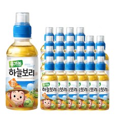 웅진 유기농 하늘보리차, 200ml, 23개