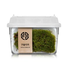 구슬이끼 관찰 실험 키트