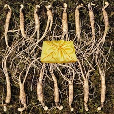 아리아리산삼 6년근 8년근 10년근 산삼 산양삼 장뇌삼 산양산삼 장뇌 자연산 주 설 추석 선물세트, 1개, 선택2. 6년근 15뿌리