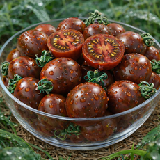 코즈농원 프리미엄 흑대추 방울토마토, 1박스, 1.5kg