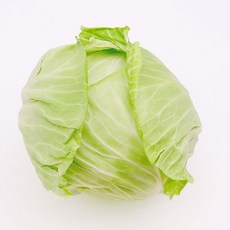 친환경 유기농 무농약 양배추, 2kg, 1개