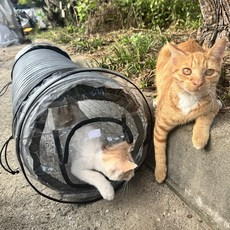 길고양이집 길냥이집 야외고양이집 겨울집, 1개, 그레이