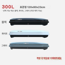 루프백 캐리어 580L 차박용 방수 루프탑 수납 일체형, 1개, 300L