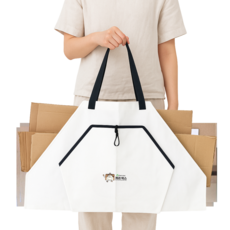 택배박스 초간단 정리 이동식 분리수거 가방 캐리박스, 그린