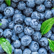 생블루베리 칠레산 CAT1 프리미엄 블루베리 생과, 2개, 125g