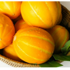 [굿피플] 참외 못난이참외 성주참외 꿀참외 과일, 1개, 못난이 참외 3kg 혼합과