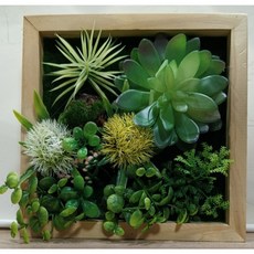 仿真牆面植物掛飾(D) 20x20cm 全新壁掛裝飾