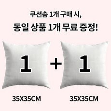 [1+1] 순잠 소파 쿠션 지퍼형 구름 쿠션솜 35*35 l 40*40 l 45*45 l 50*50 l 55*55 l 60*60, 2개, 화이트