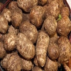 국내산 토란 상, 1개, 1kg