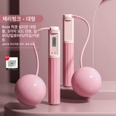 운동기구 복부 운동 가정용 홈트 전신 유산소 홈짐 허리, 1개, 핑크 대형 볼 모델 보관 가방