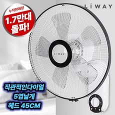리웨이 데일리 벽걸이 선풍기 가정용 줄당김형