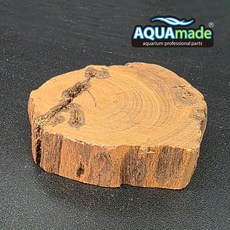 아쿠아메이드 절단유목 M 2cm(두께) 모스 이끼 활착 새우 안시 놀이터, 1개