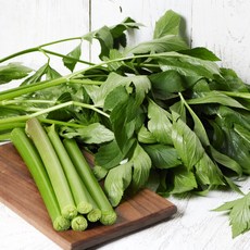 친환경 유기농 신선초 당일수확 산지직송, 1개, 신선초 1kg