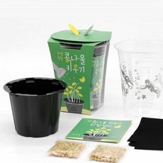 살림냥 콩나물 키우기 실내식물키우기