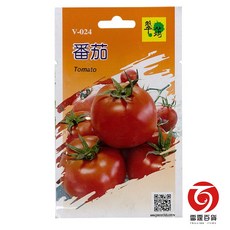 雷霆百貨 番茄蔬菜種子 出清現貨 輕鬆種植 V024, 1個