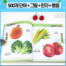 그림으로 쉽게 공부하는 중국어 필수 단어 500자 한권으로 끝내기, A 필수단어 500자