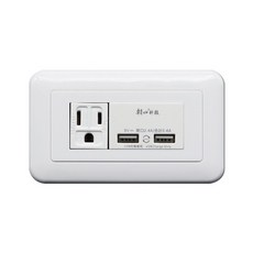 朝日電工 埋入式雙USB附單接地插座組 P-USB-UR012, 1個