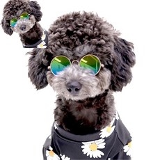 육땨 반려동물 고글 고양이 애견 선글라스 강아지고글 반려견선글라스 애견선글라스, 블랙