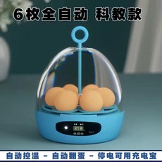 【110V專用】全自動孵蛋器，雞鴨鵝鴿多用孵化機，小型家用孵蛋箱，雙自動控溫, 6枚全自動科教款【溫度顯示】