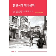 분단시대 한국문학