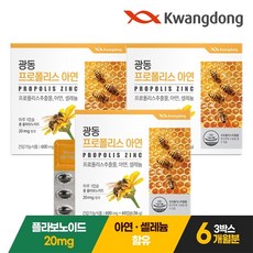 광동제약 프로폴리스 아연 36g, 60정, 3개