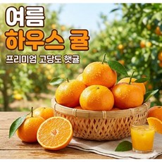 [왕꿀맛집]제주 하우스감귤 사계절달콤, 1박스, 하우스감귤(대)5KG