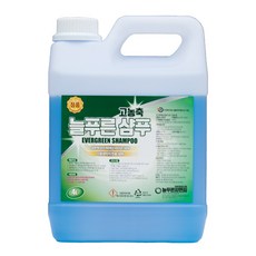 [늘푸른] 고농축 버블 폼 | 직접생산 무접촉세차기 자동세차기 터널형 문형, 1개, 4L